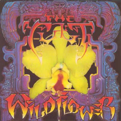 Wild Flower