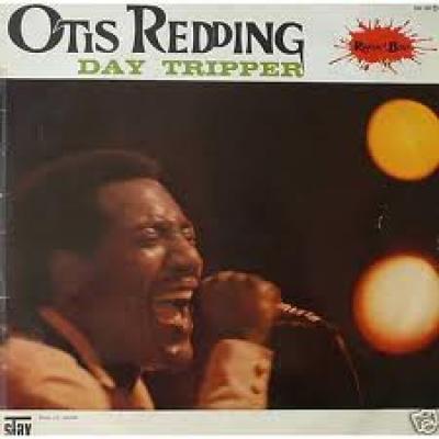 Day Tripper
