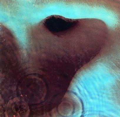 Atom Heart Mother Couverture Graphique De Meddle