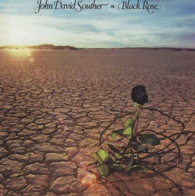 Black Rose