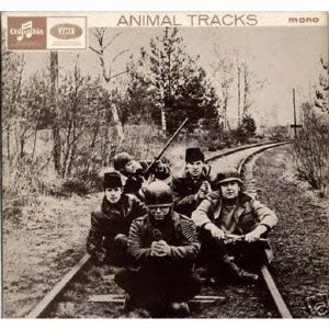 Animal Tracks