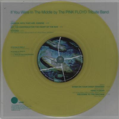If You Were In The Middle