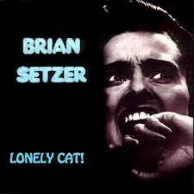 Lonely Cat