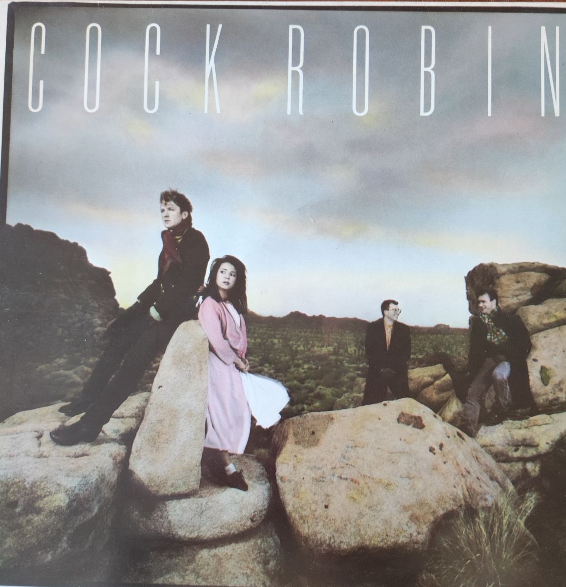 Cock Robin