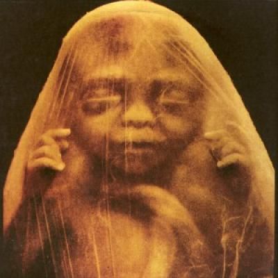 We Don't Like You Either