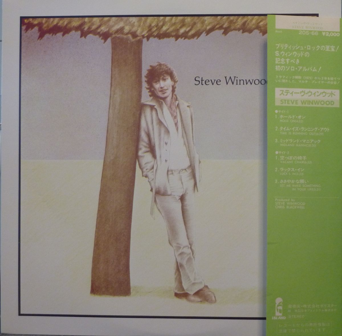 Steve Winwood