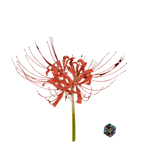 CC0 ヒガンバナ Red Spider Lily, Lycoris radiata