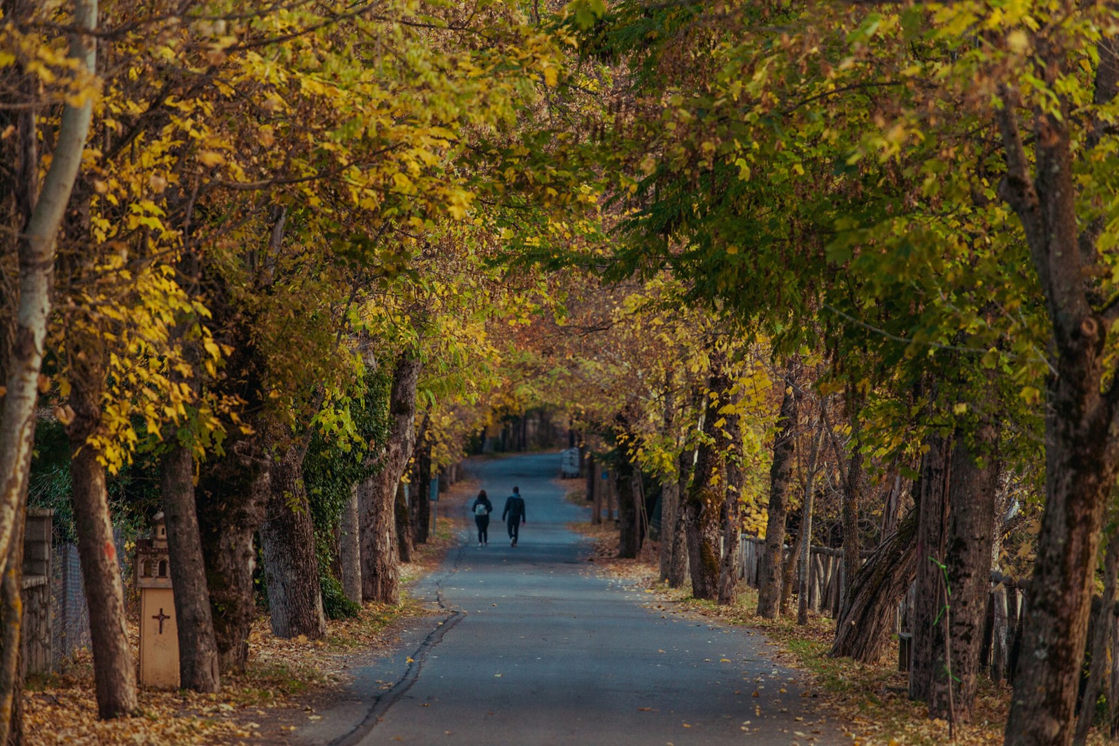 Δημητσάνα - Peloponnese Tourism Academy