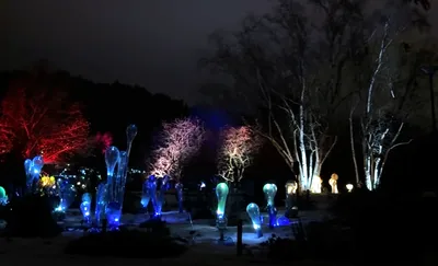 Botanická zahrada Praha Troja: výstava skleněných soch Křišťálová zahrada (Jiří Pačinek & Pačinek glass tým) – prosinec 2025–únor 2026