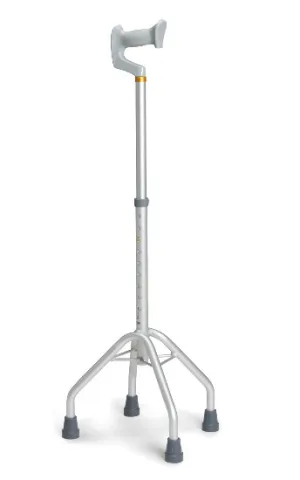 <span>Kvadripodi</span>
