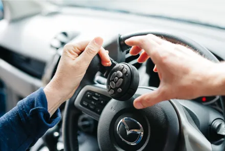 Aptaujas anketa par autopielāgošanas pakalpojumu