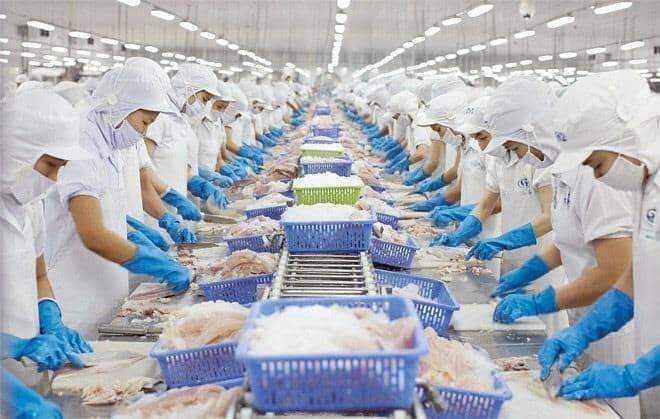 Cà Mau khởi công chuỗi dự án Nhà máy chế biến thủy sản vốn đầu tư 1.600 tỷ