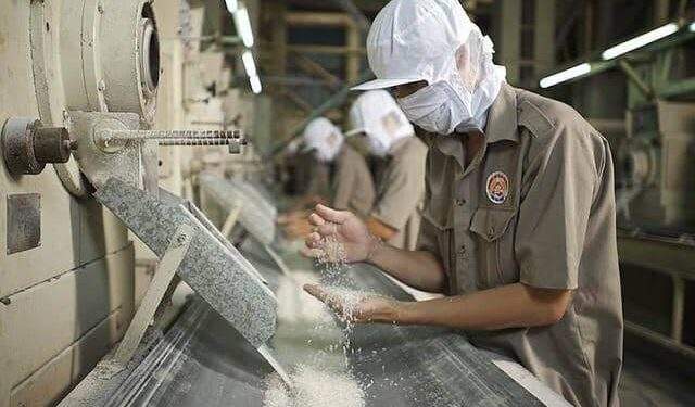 Nút thắt cổ chai ở khâu sơ chế làm giảm giá trị hạt gạo 1 Nút thắt cổ chai ở khâu sơ chế làm giảm giá trị hạt gạo