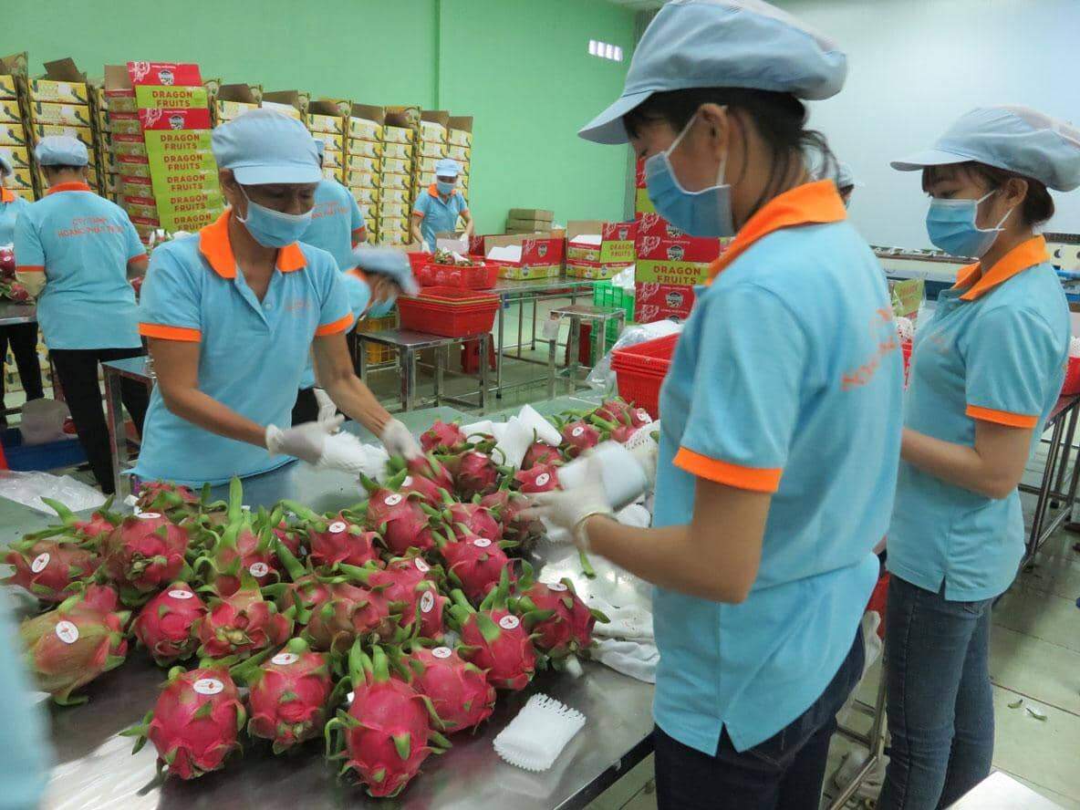 Khôi phục chuỗi cung ứng, đẩy mạnh xúc tiến xuất khẩu hàng hóa