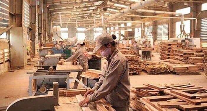 Mục tiêu xuất khẩu gỗ và lâm sản đạt 20 tỷ USD vào năm 2025