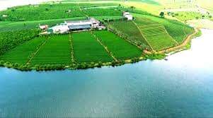 Lâm Đồng: Đẩy mạnh xây dựng thương hiệu nông sản đặc trưng 6 Lâm Đồng: Đẩy mạnh xây dựng thương hiệu nông sản đặc trưng
