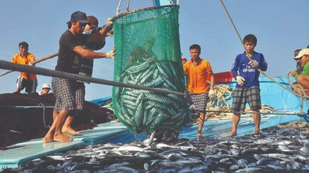 Thủy sản tăng trưởng kỷ lục, nhưng phía trước còn nhiều “chông gai”