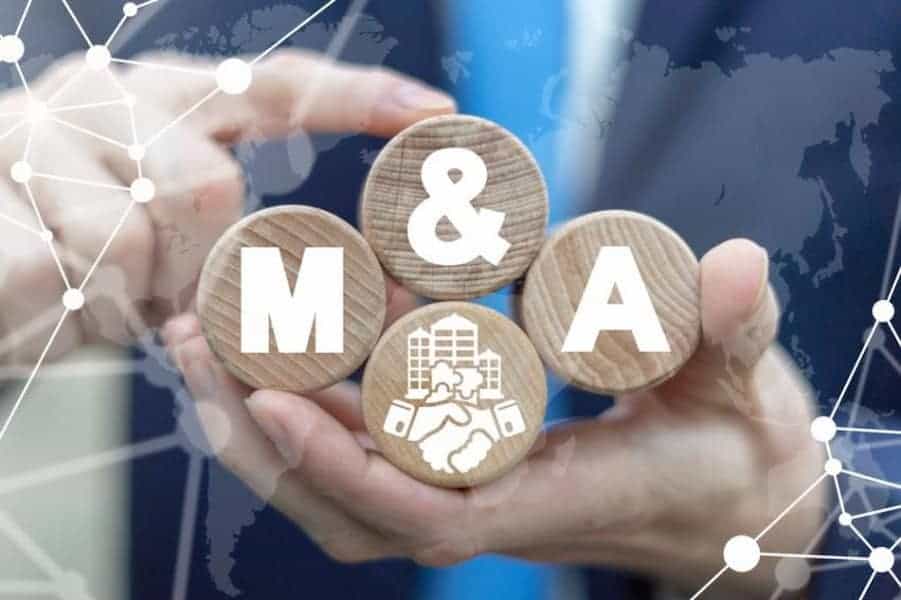 Cẩn trọng 'theo sóng M&A' 5 Cẩn trọng 'theo sóng M&A'