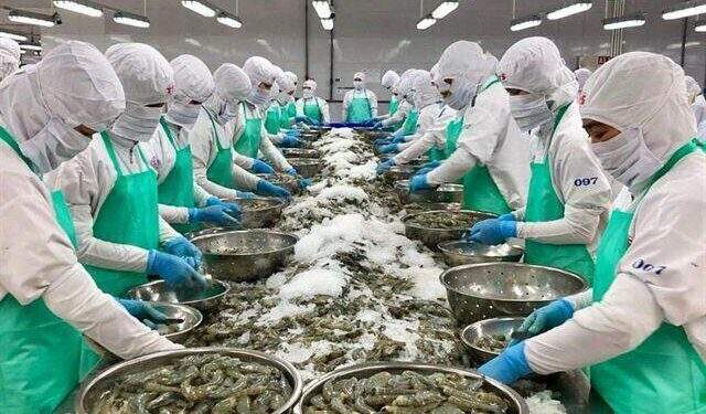 Doanh nghiệp thủy sản niêm yết lập đỉnh mới năm 2022 1 Doanh nghiệp thủy sản niêm yết lập đỉnh mới năm 2022