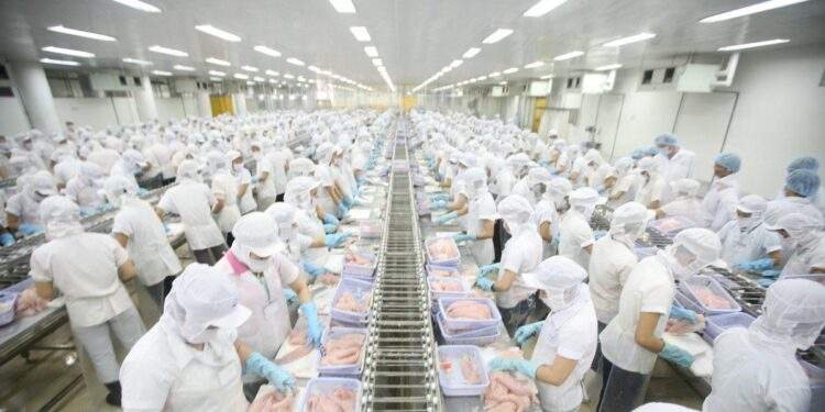 VHC chi hơn 15 tỷ đồng mở rộng đất nuôi trồng thủy sản 1 VHC chi hơn 15 tỷ đồng mở rộng đất nuôi trồng thủy sản