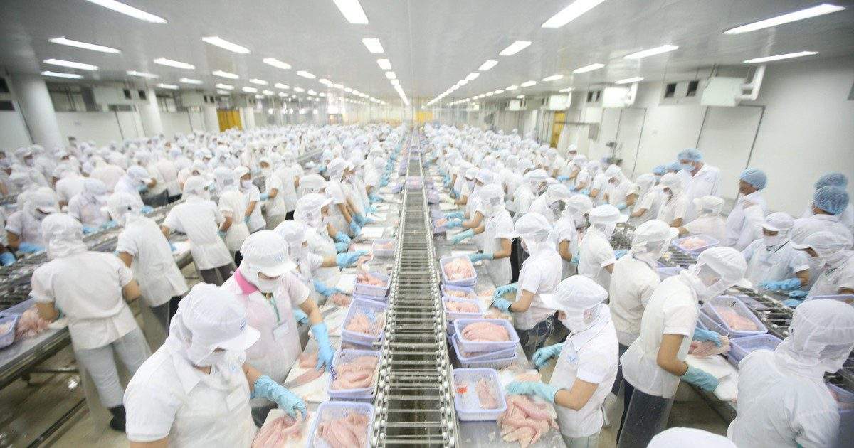 VHC chi hơn 15 tỷ đồng mở rộng đất nuôi trồng thủy sản