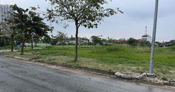 Bị ‘tố’ không trả lời kiến nghị, Sở Tài nguyên và Môi trường TP.HCM nói gì?