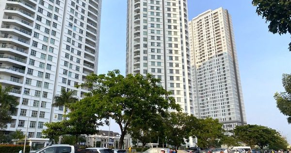 Kế hoạch cấp sổ hồng cho hơn 81.000 căn hộ tại TP HCM