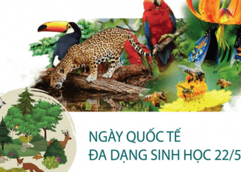 Ngày Quốc tế đa dạng sinh học 22/5: Thay đổi hành vi, thúc đẩy lối sống hài hòa với thiên nhiên