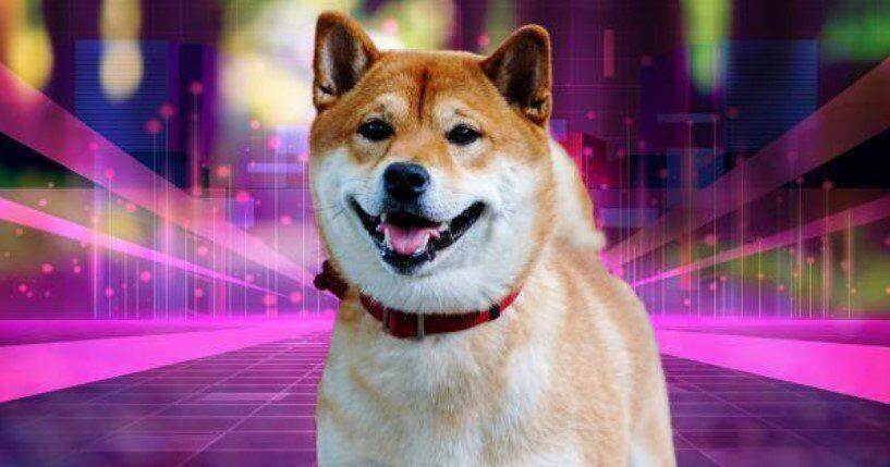 Shiba Inu tiết lộ cập nhật về tiến độ Metaverse