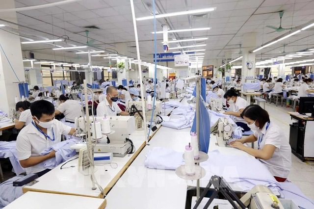 TCM: Lãi tháng 4 tăng 81%, đã nhận 65% đơn hàng quý 3 