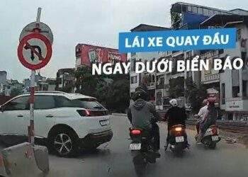 Tài xế cố tình 'ngó lơ' luật!