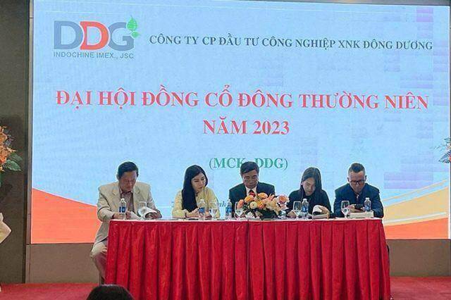 ĐHĐCĐ DDG: Kế hoạch giảm lãi gần 73%, chào bán 20 triệu cp để trả nợ ngân hàng