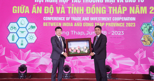 Đồng Tháp kết nối với hơn 130 doanh nghiệp Ấn Độ