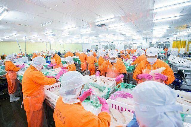 Nam Việt đặt kế hoạch lãi trước thuế 2023 đi lùi 35%, quý 1 thực hiện được 22%