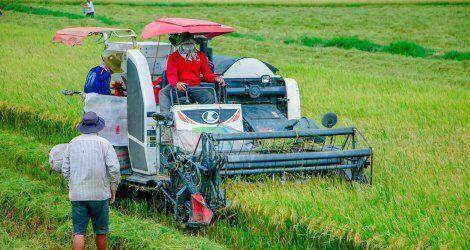 Thúc đẩy tiến độ giải ngân vốn thực hiện các chương trình mục tiêu quốc gia