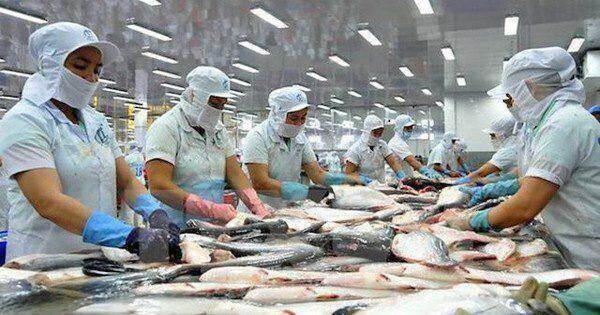 VASEP kiến nghị giảm lãi suất cho vay VND xuống dưới 7%, giãn nợ 4