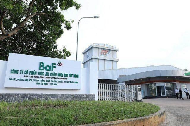 BAF giảm mạnh lợi nhuận quý 2 dù giá heo trên đà hồi phục