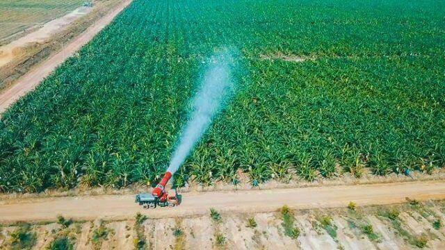 Nợ hơn 28 ngàn tỷ, THACO AGRI của Trường Hải tiếp tục lỗ nặng năm 2022
