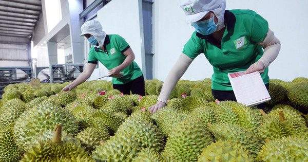 Tổng kim ngạch xuất, nhập khẩu 6 tháng đầu năm giảm 15,2% so với cùng kỳ 2022