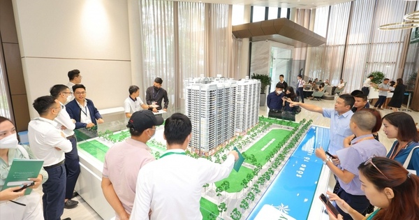Báo cáo Thủ tướng Chính phủ về thành lập các sàn giao dịch việc làm, bất động sản trước ngày 08/09
