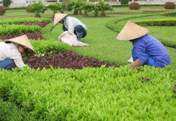 Cần có đơn giá định mức hợp lý hơn đối với DN dịch vụ công ích
