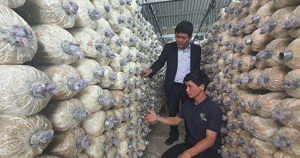 Có vốn ưu đãi tiếp sức