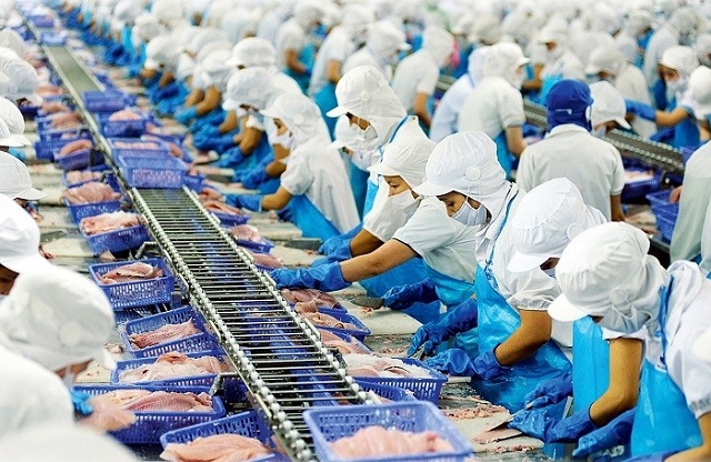Doanh thu tháng 7 của Vĩnh Hoàn giảm 28% so cùng kỳ