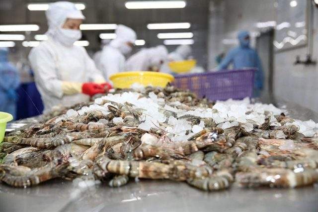 FMC: Doanh số tháng 7 lên cao nhất trong gần 1 năm