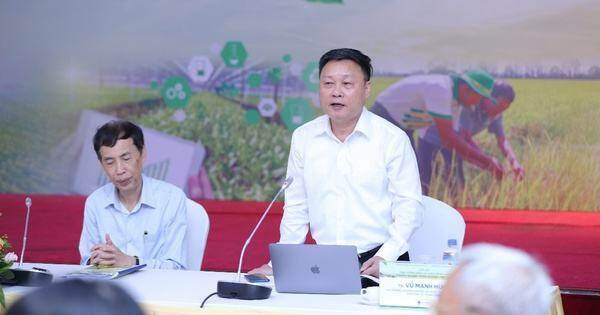 Giải pháp tăng cường năng lực cạnh tranh cho doanh nghiệp nông nghiệp Việt Nam