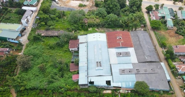 Ông Đặng Lê Nguyên Vũ muốn nhận lại 4.337 m2 đất ở Lâm Đồng