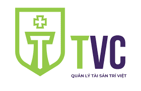 Quản lý Tài sản Trí Việt bị UBCKNN phạt do vi phạm công bố thông tin