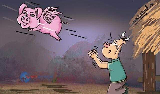 Quý 2: Giá heo tăng chưa thể “tô hồng” bức tranh của nhóm chăn nuôi 1 Quý 2: Giá heo tăng chưa thể “tô hồng” bức tranh của nhóm chăn nuôi