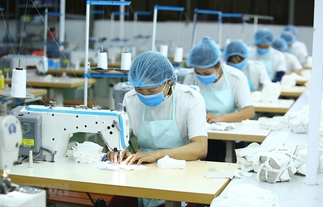 TCM sắp chia thưởng gần 11 triệu cp, tăng vốn lên 927 tỷ