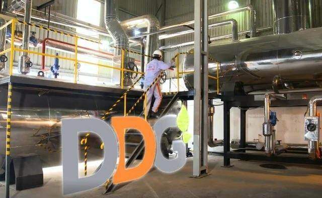 Trái phiếu DDG "ế khách"